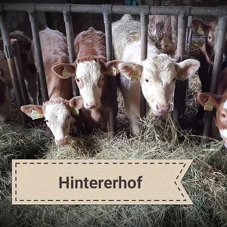 Daire Hintererhof Hintersee